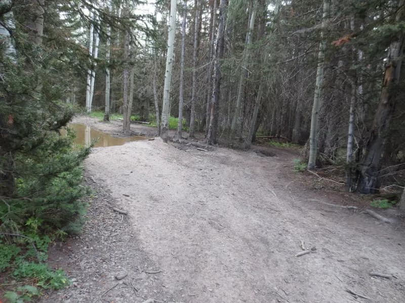 Ridge Trail #646