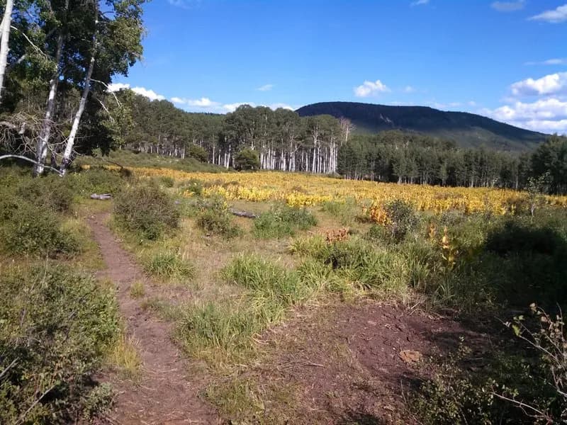 Clear Creek Loop