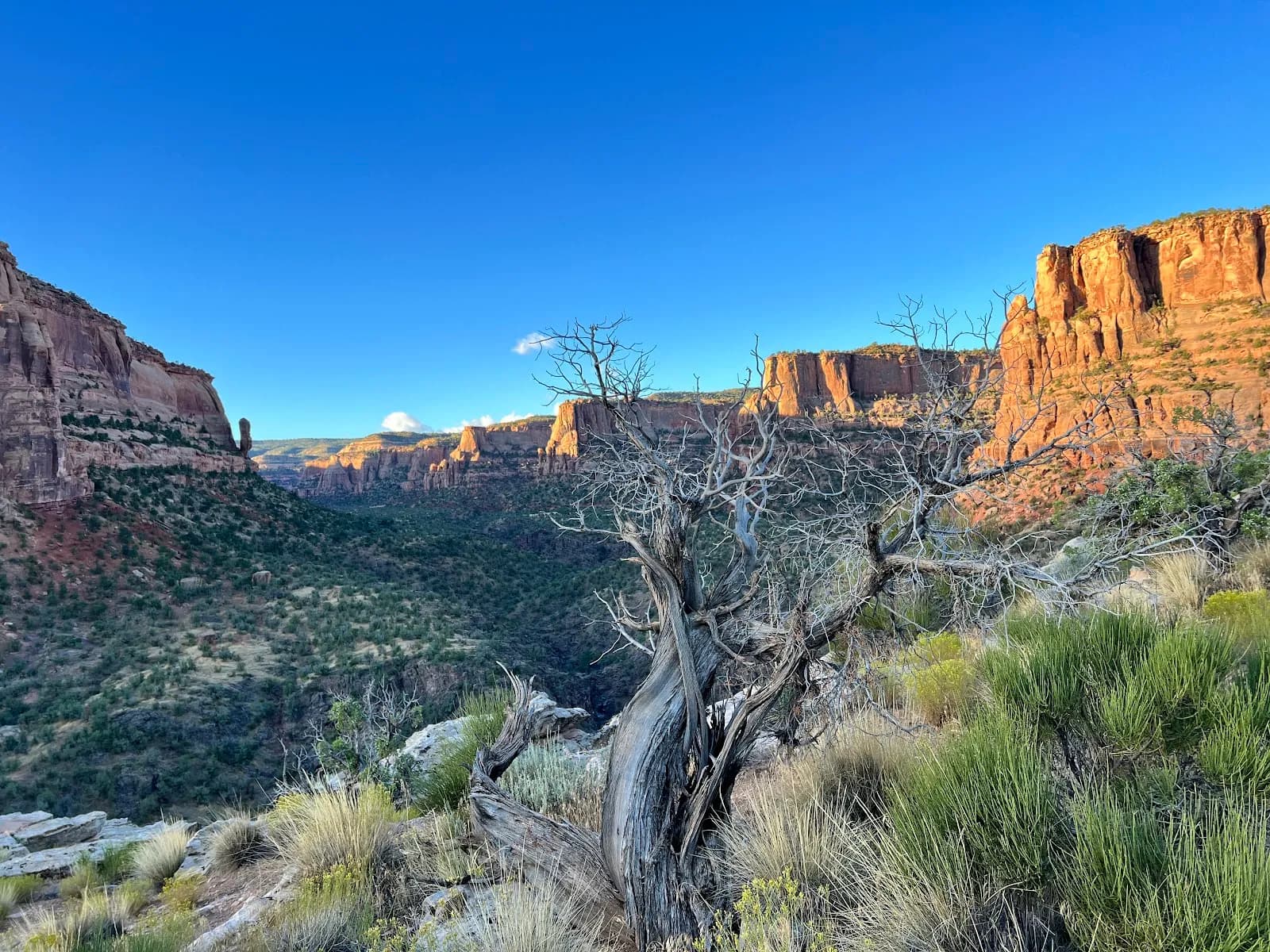 Devil's Canyon Trail System