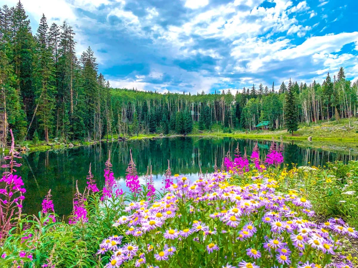 Grand Mesa Lakes