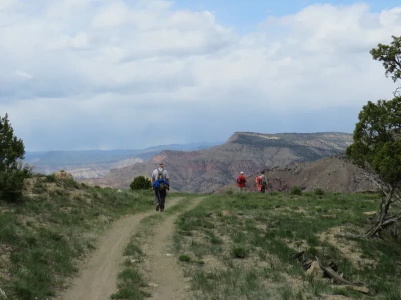 Following The Old 2 Track