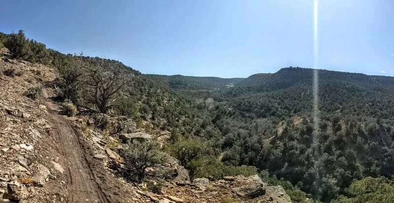 Shock Therapy