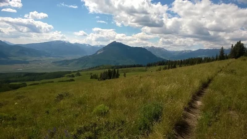 Trail 409.5