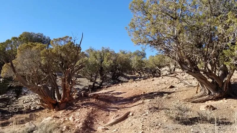 Sunset Rocks Trail