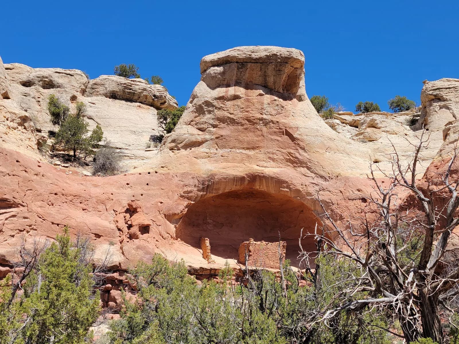 Canyons of the Ancients National Monument