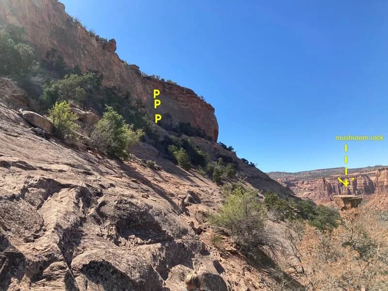 Otto's Ladder