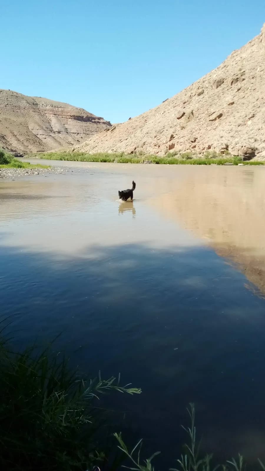 Cottonwood Grove Campground