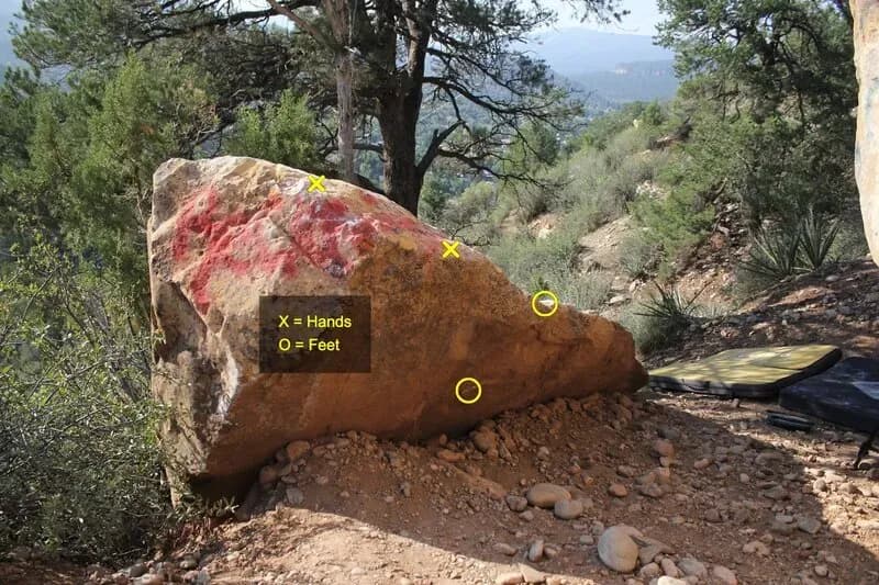 Sarcophagus