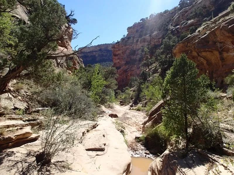 Rough Canyon Loop