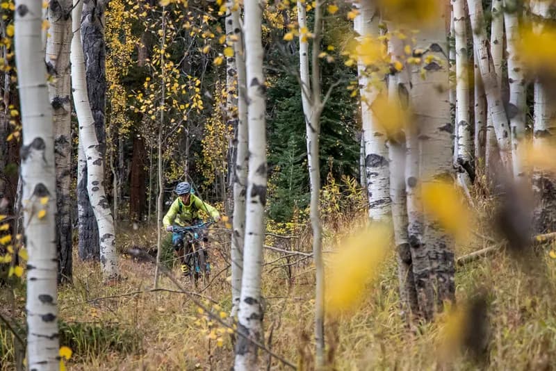 Doctor Park Trail