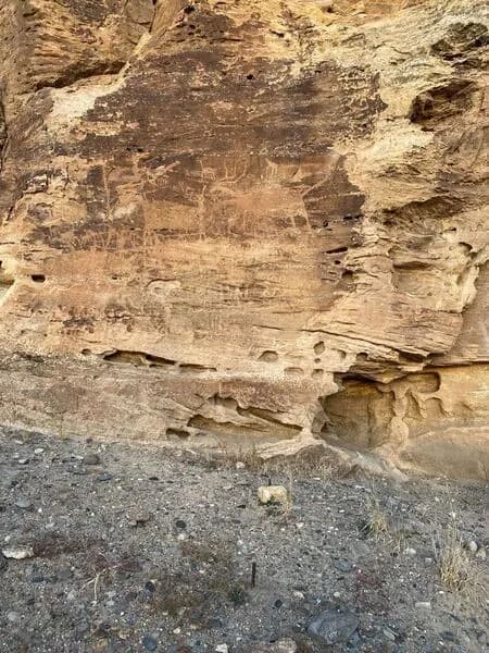 Eagle Rock Shelter Trail