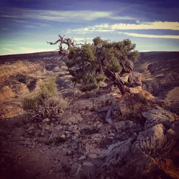 Eagle's Nest Loop