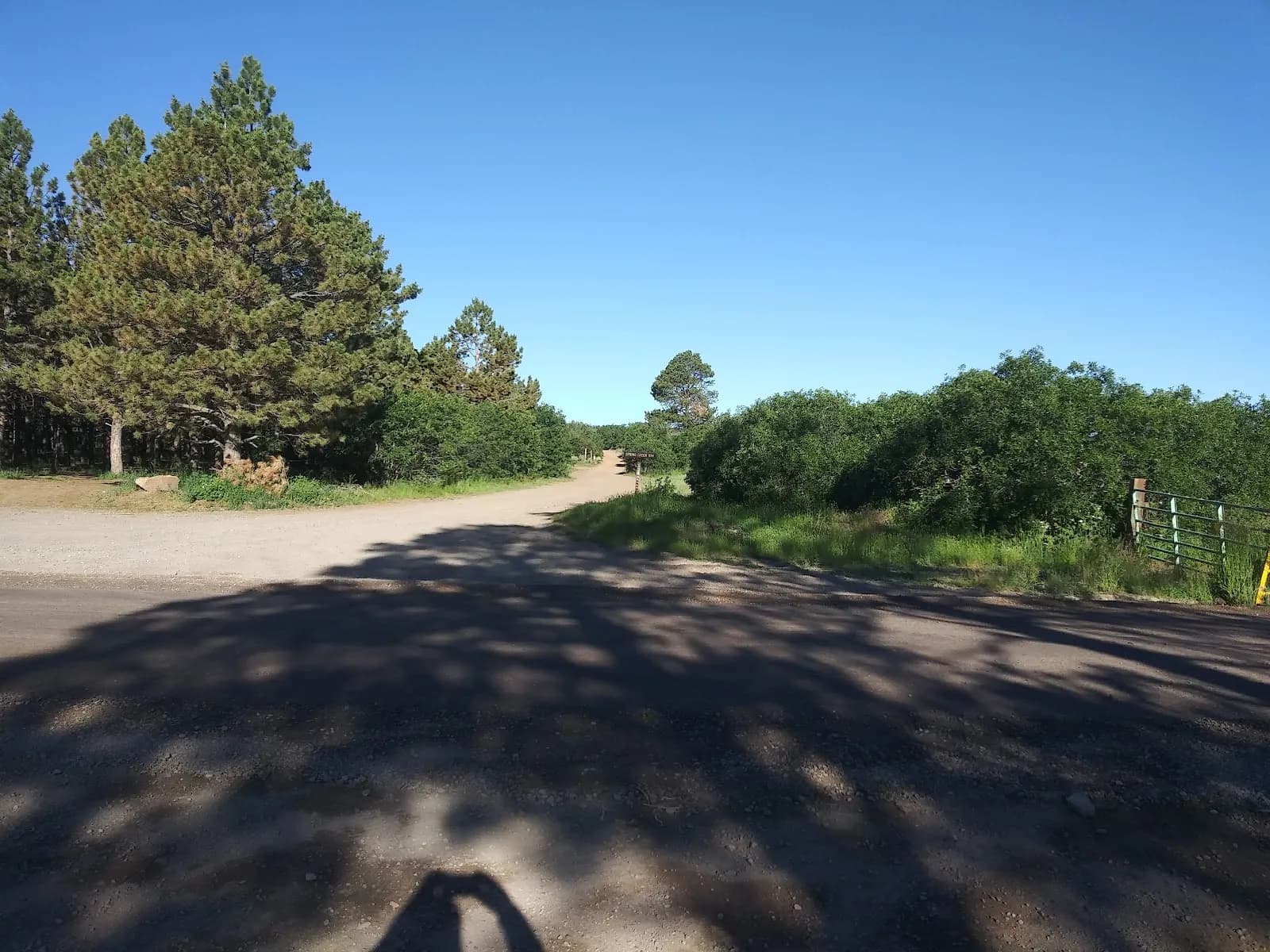 Dave Wood Interpretive Trail