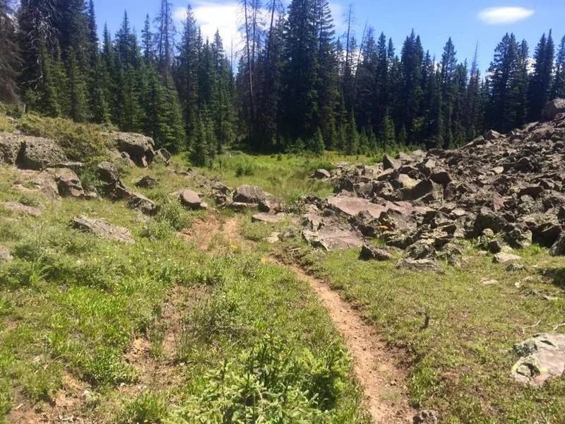 County Line Trail
