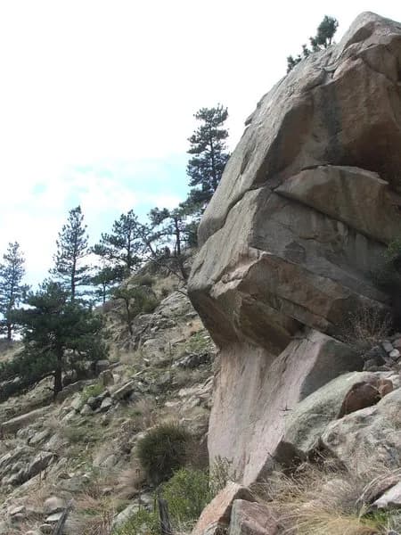 Rattlesnake Roof