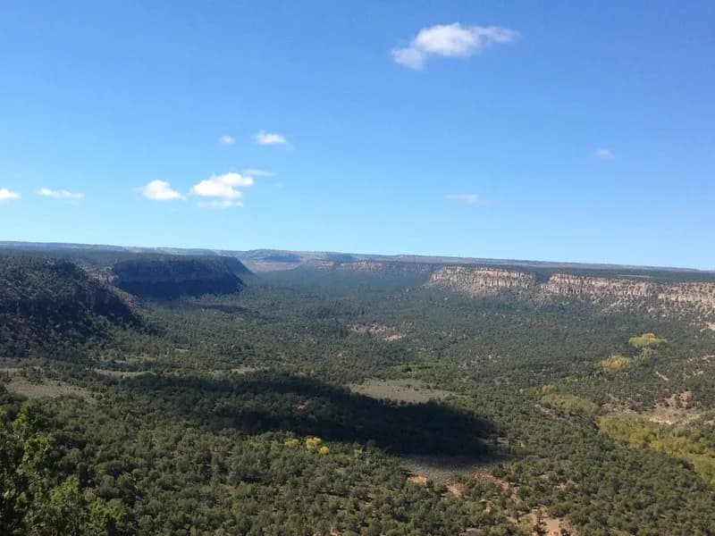Dakota Rim