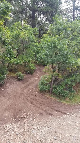 Jones Creek