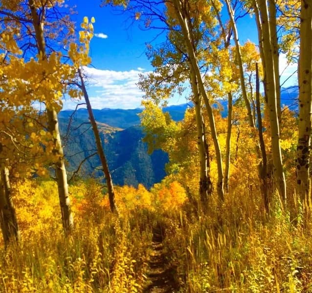 Hannon Creek Trail