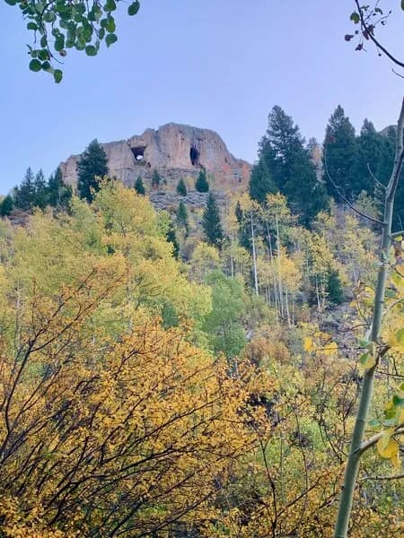 Farris Creek Trail #409