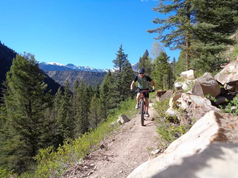 Locals Loop