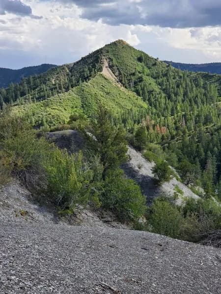 Grabens Loop