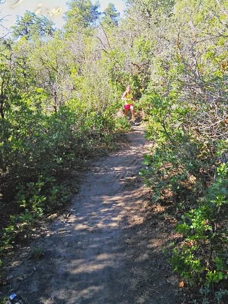 Crestview Trail