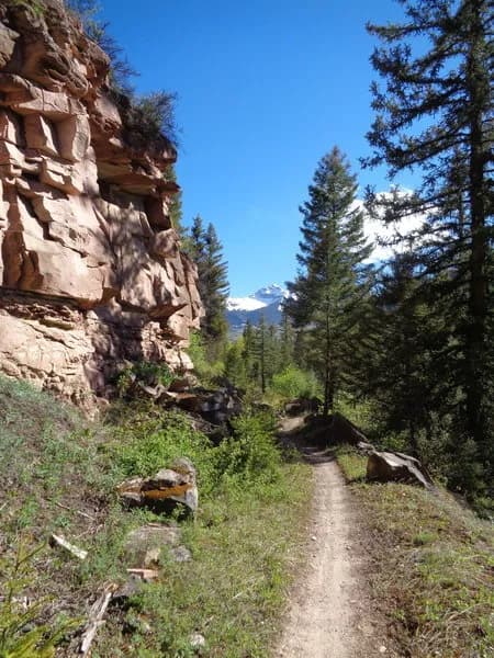 Locals Loop