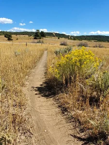 Looking East Along The Fenceline On Pop Top