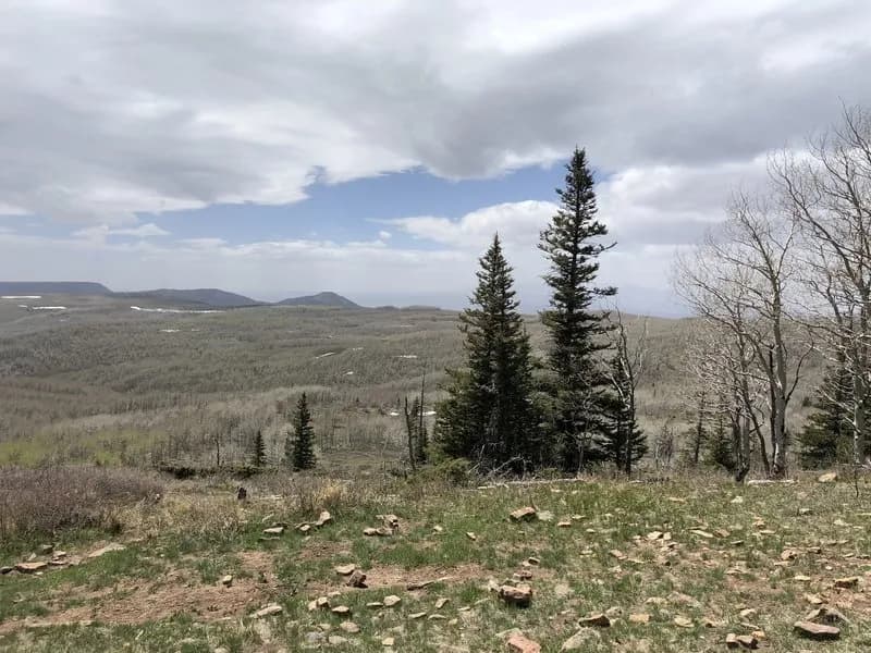 Ridge Trail #2646