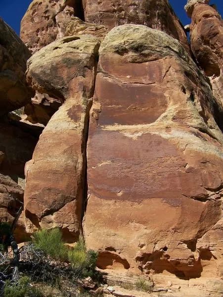 Bighorn (unknown)