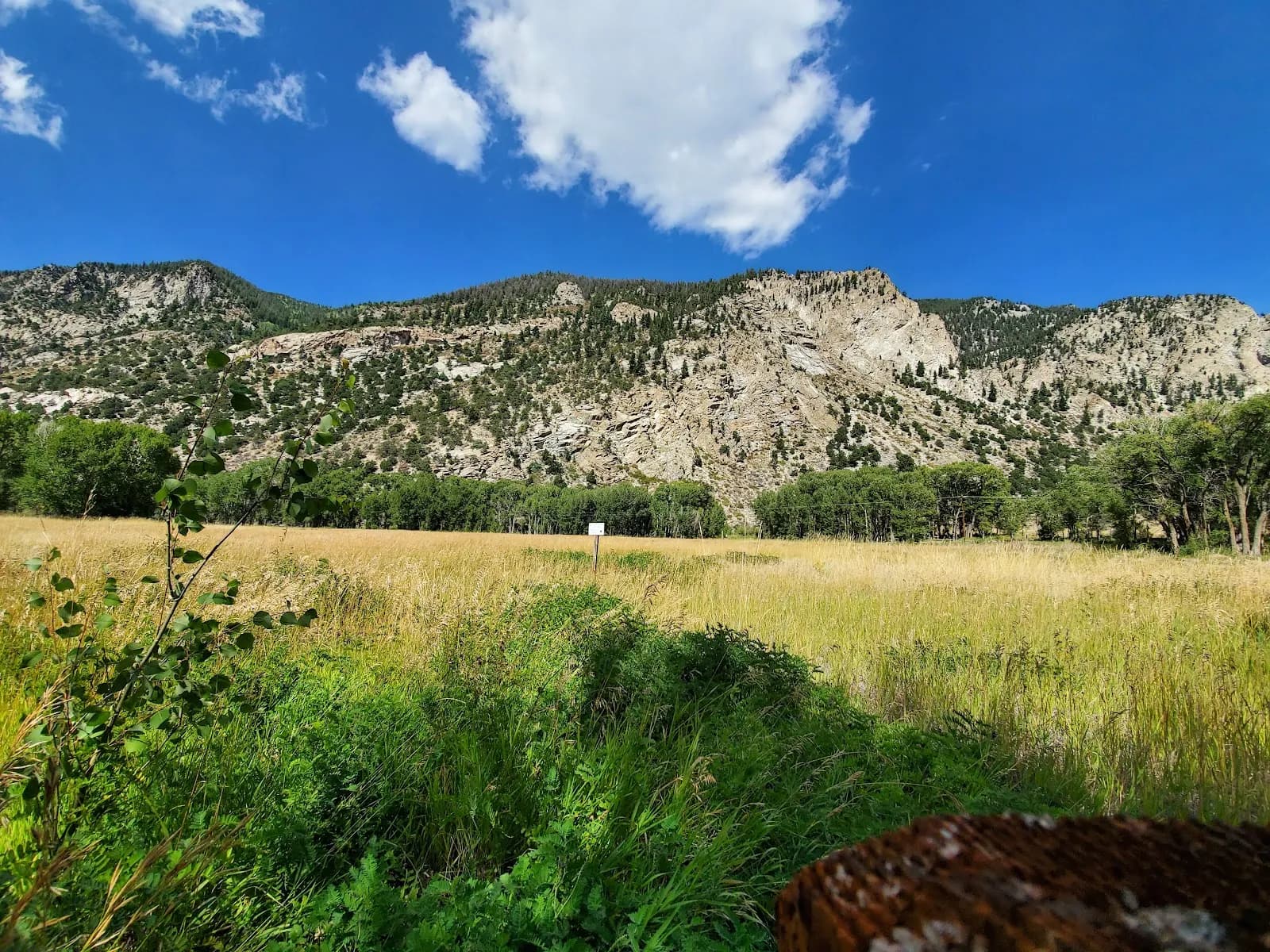Love Meadow Watchable Wildlife Area