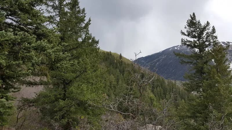 Lower Hunter Creek Trail