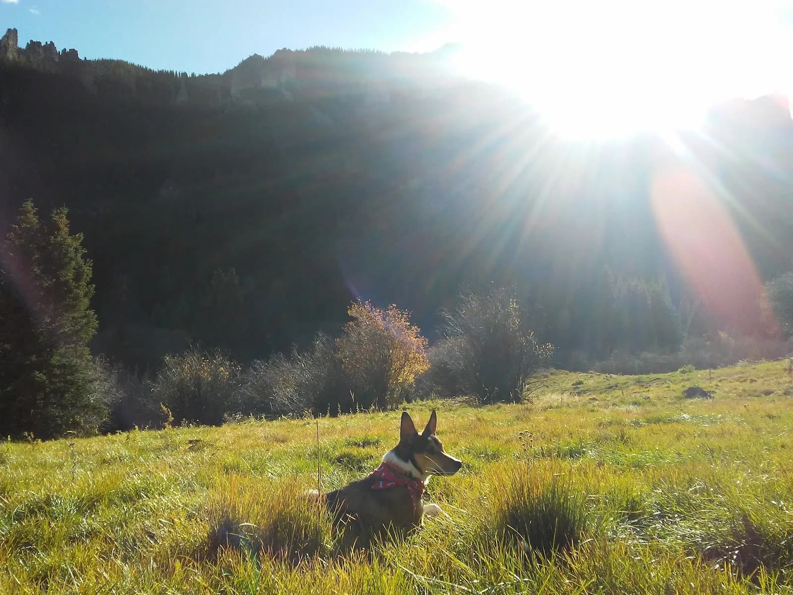 West Elk Wilderness main view