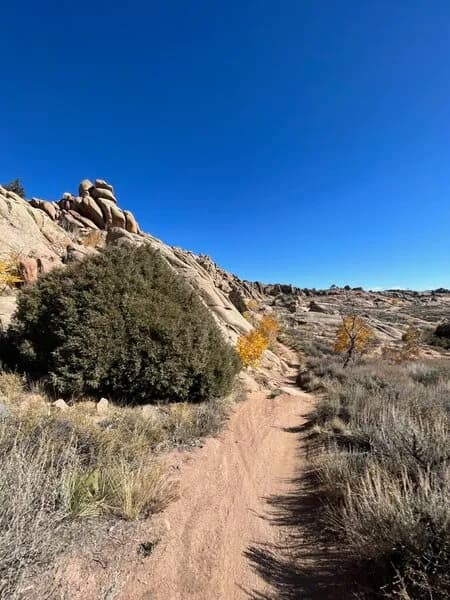Behind the Rocks