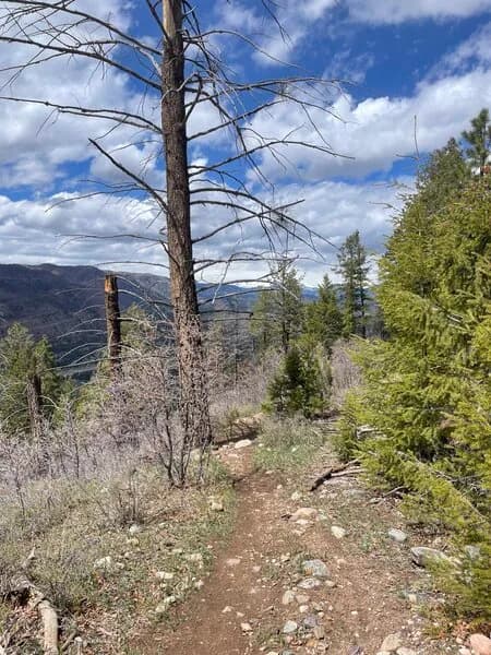 Red Rim to Stevens Creek Loop