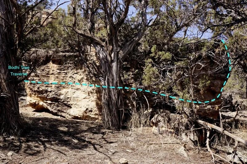 Bodhi Tree Traverse