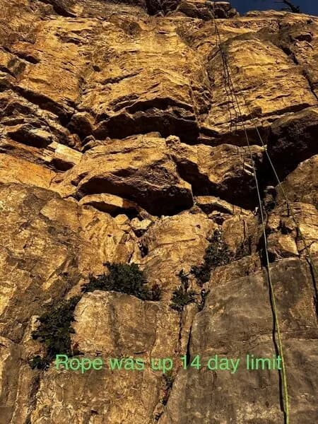 14 Day Limit