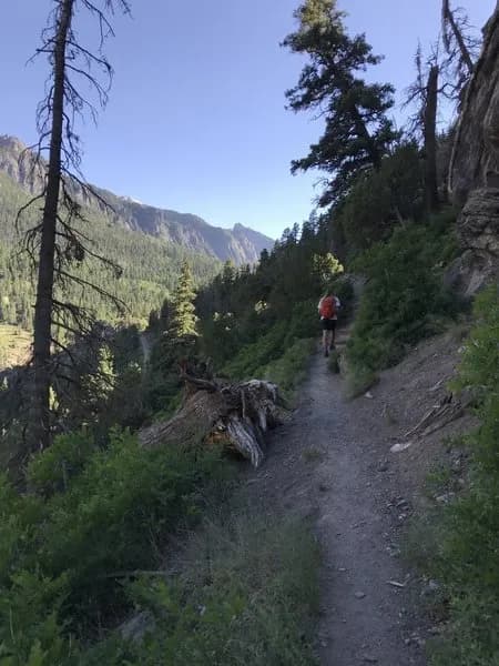 Old Twin Peaks Trail