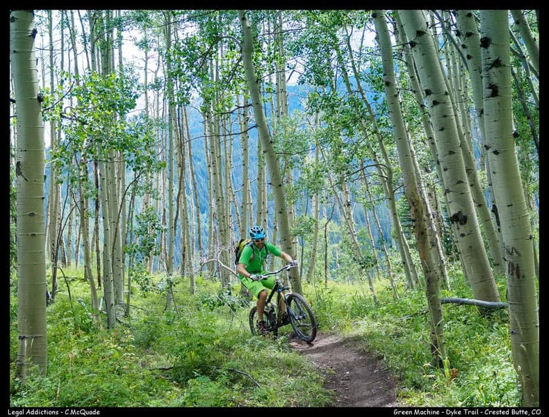 Dyke Trail