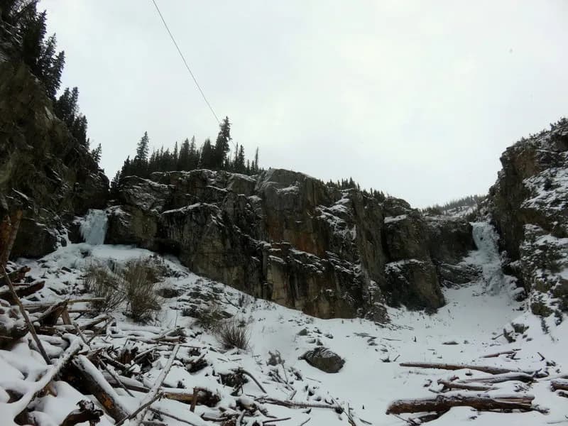 Maggie Falls Left