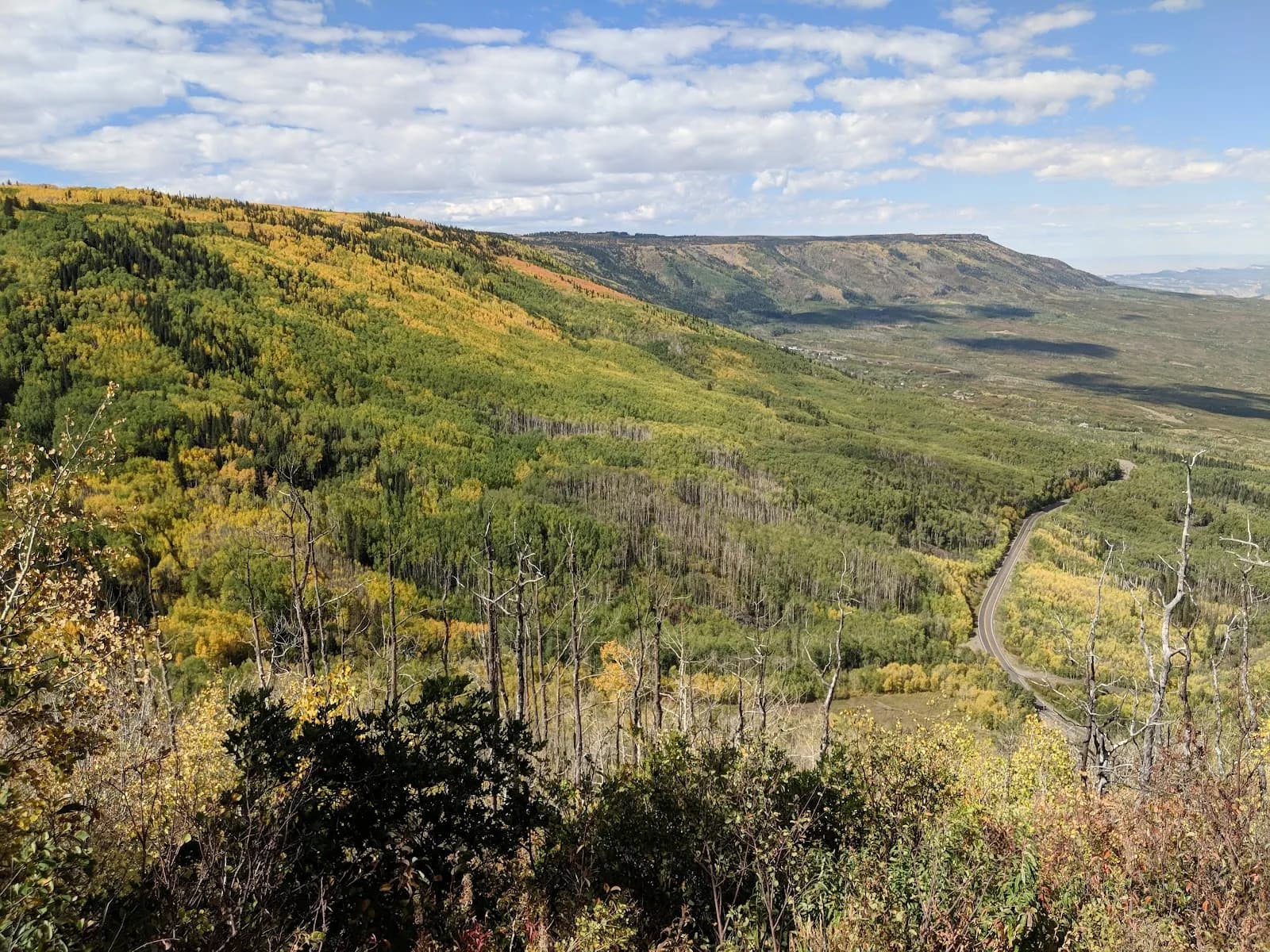 Grand Mesa National Forest
