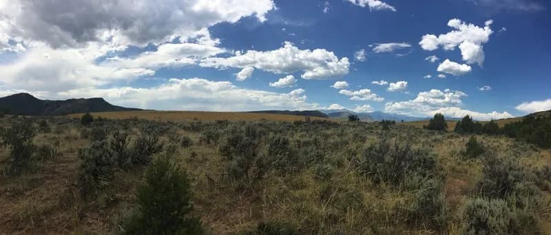 Sale Barn - South Rim - Carbon Junction