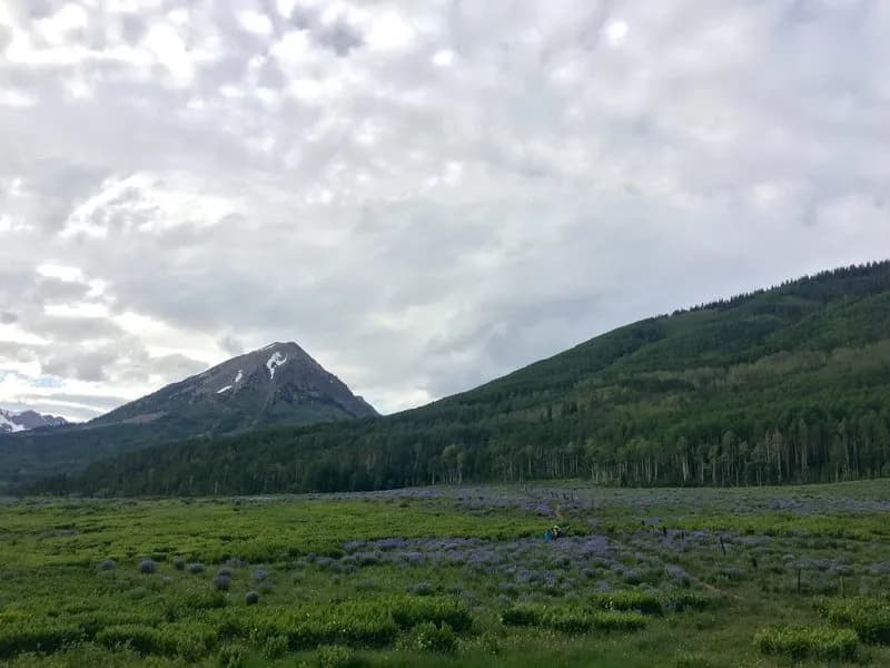 Snodgrass Trail #590
