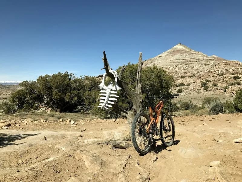 Desert RATS Classic 100k MTB