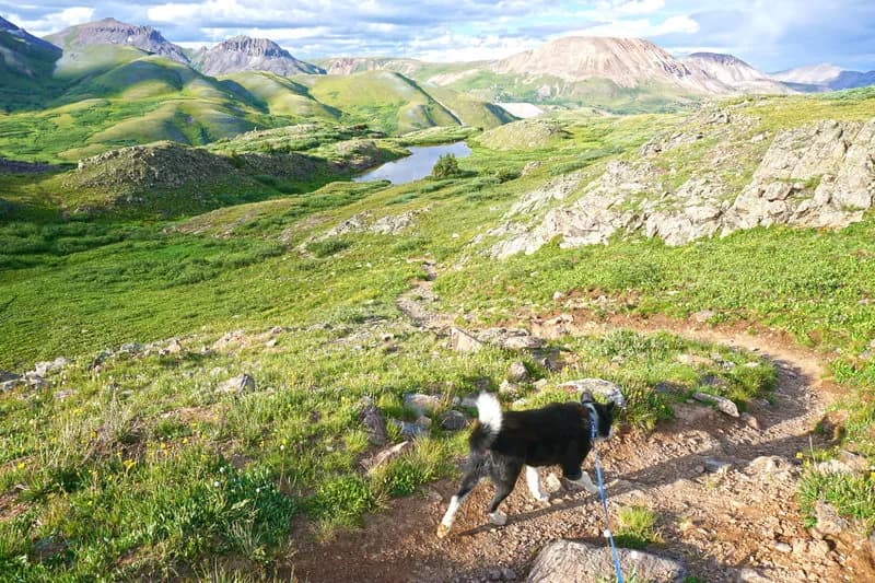 CT - Segment 24: Stony Pass to Molas Pass