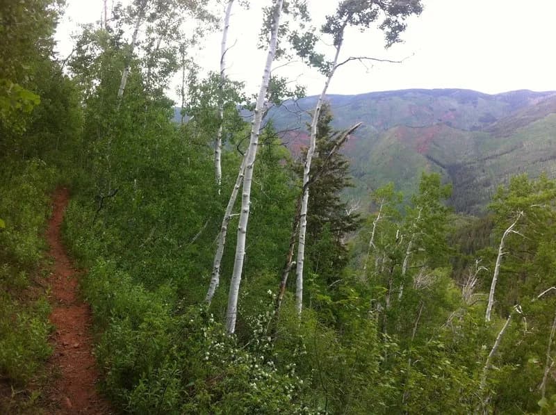 Shadyside Trail
