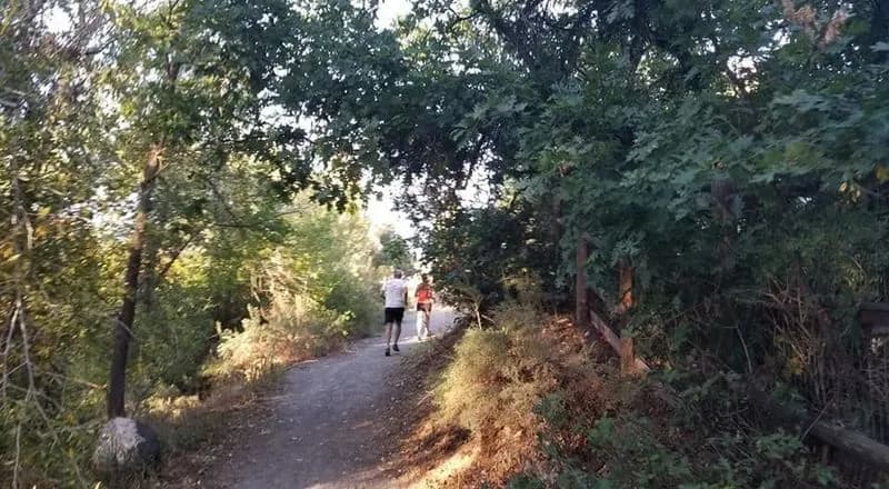 Local Running Group Running The Surface Creek Trail