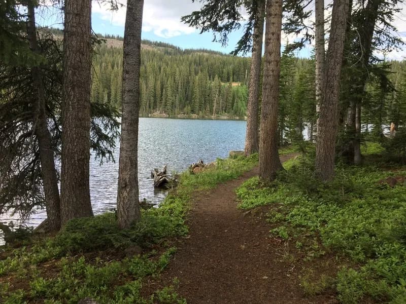 Island Lake Trail #2748