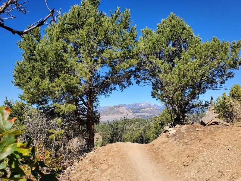 Durango Mesa Park: Intermediate Flow Trails
