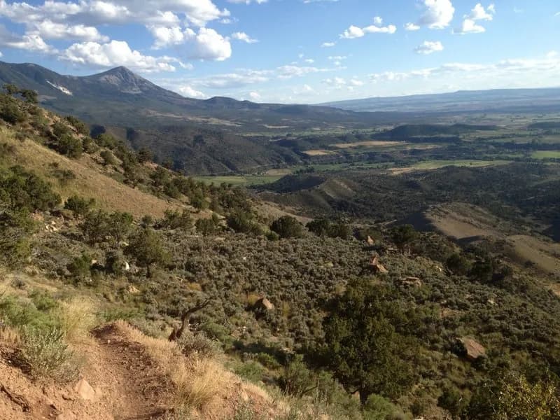 Jumbo Ridge Loop